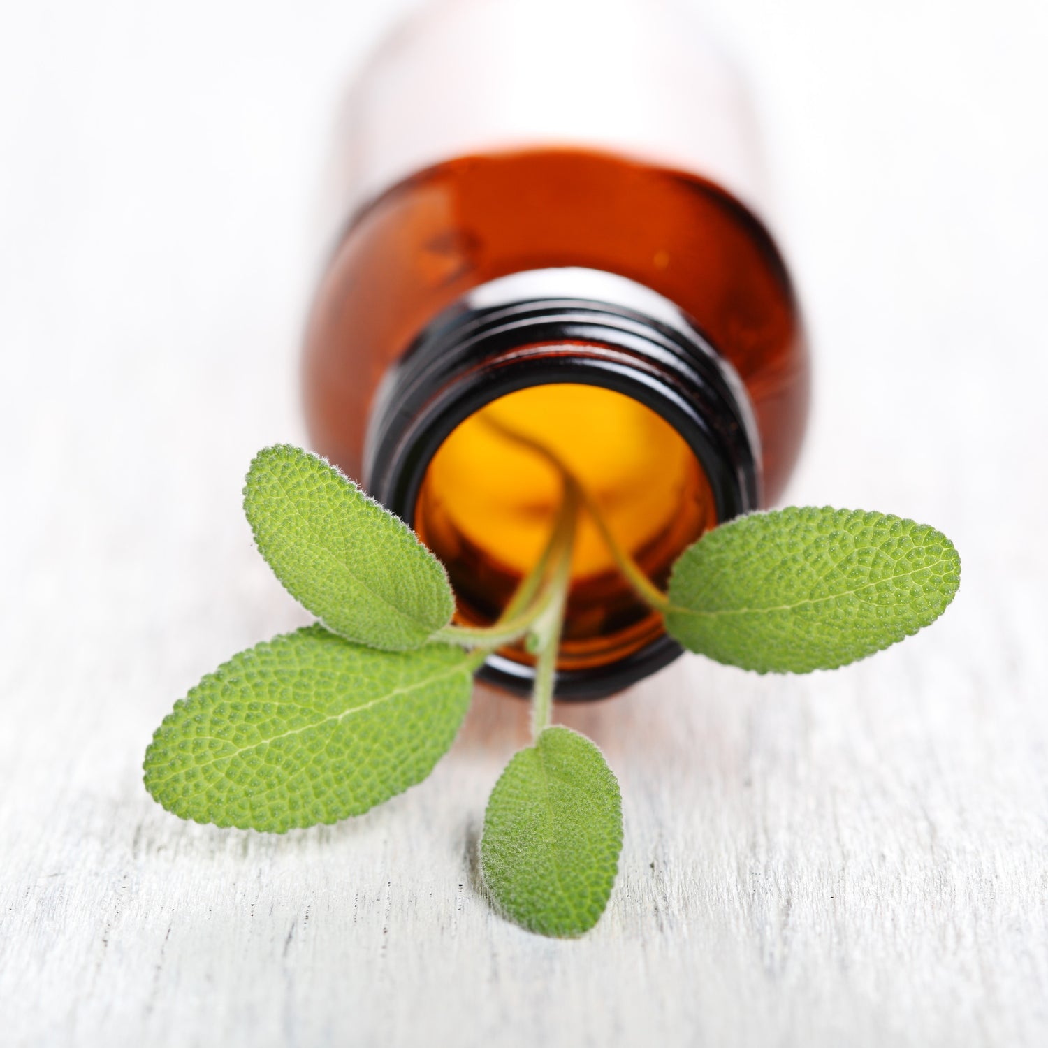 Benefits of Sage Essential Oil